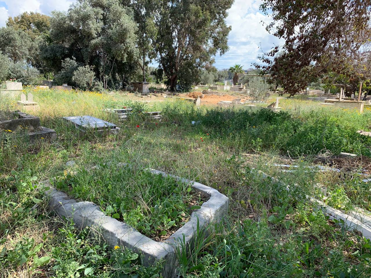 photo1678276195 (1).jpeg